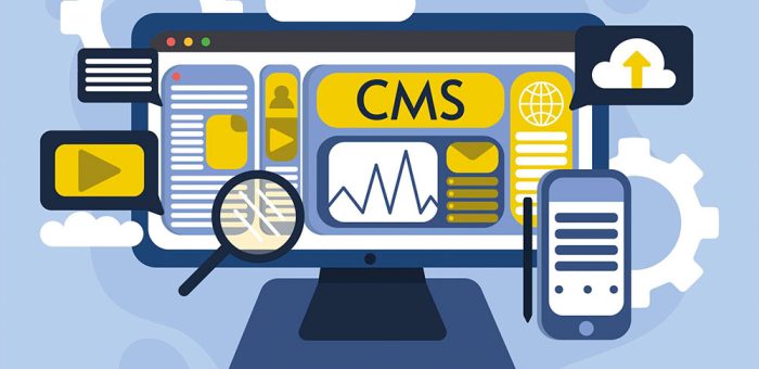Content Management System (CMS) Development