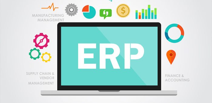Enterprise Resource Planning (ERP) Software development