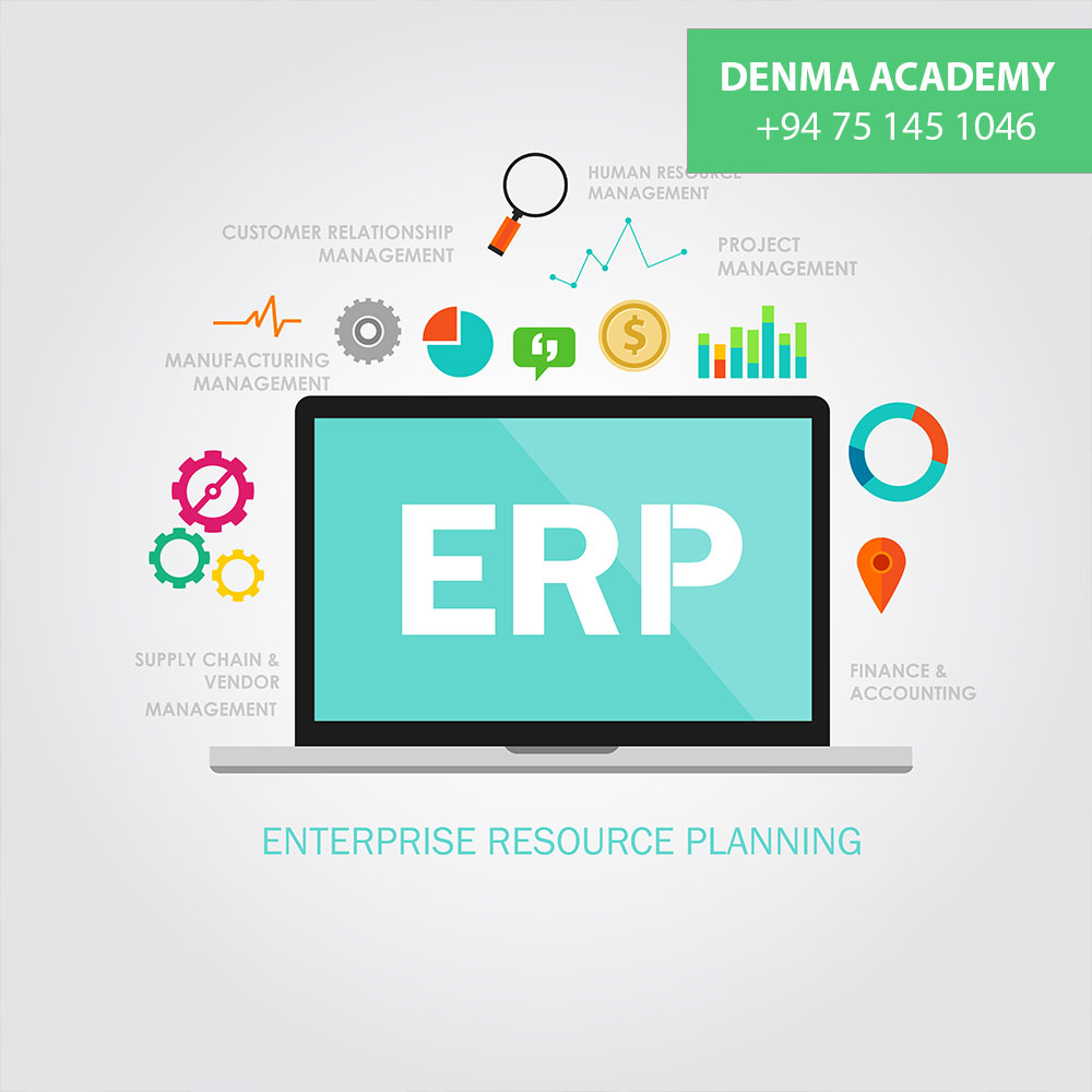 Enterprise Resource Planning (ERP) Software development