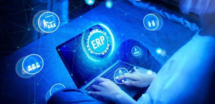 Custom Enterprise ERP System Development